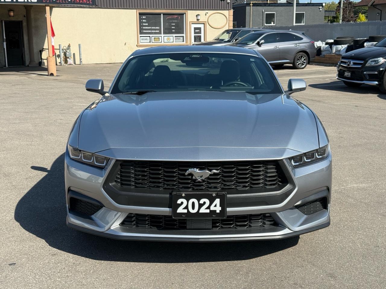 2024 Ford Mustang EcoBoost Fastback  ACCIDENT FREE MINT Photo