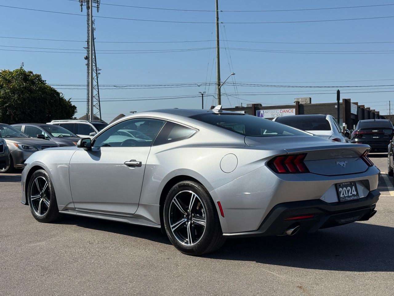 2024 Ford Mustang EcoBoost Fastback  ACCIDENT FREE MINT Photo