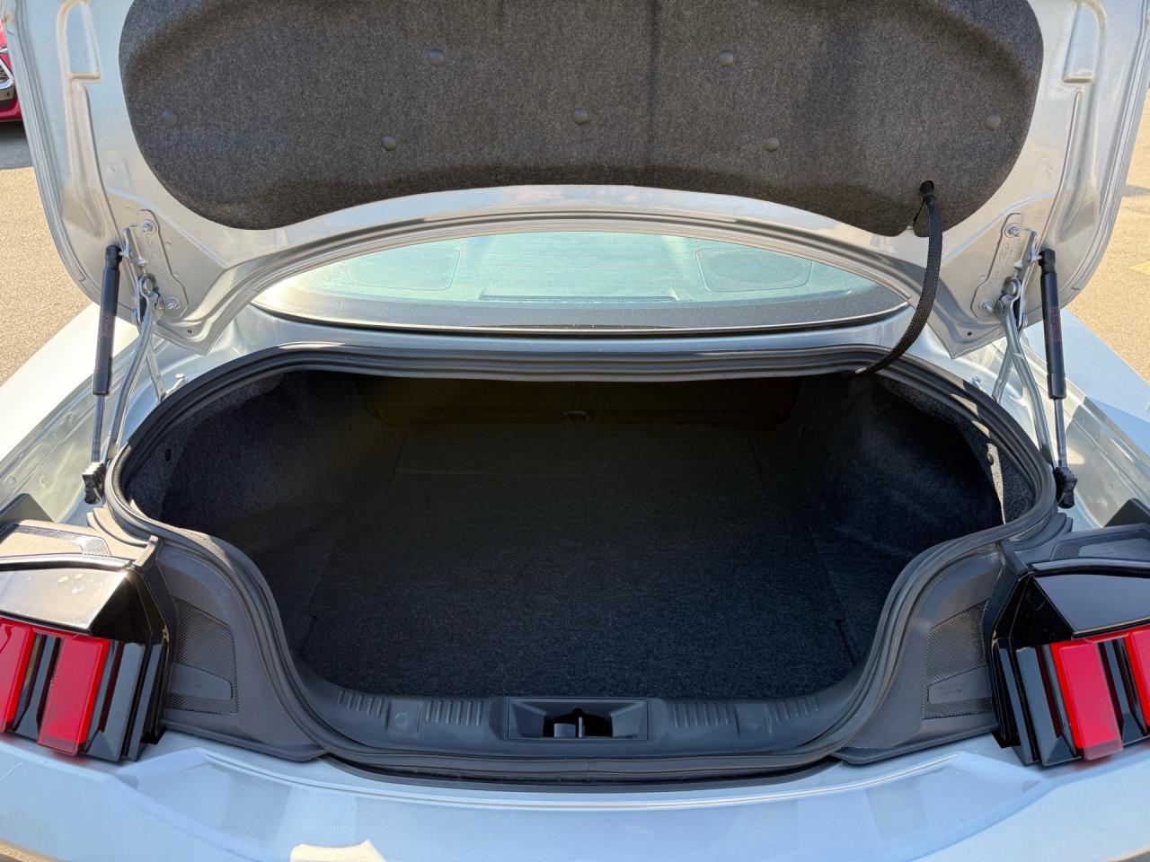 2024 Ford Mustang EcoBoost Fastback  ACCIDENT FREE MINT Photo