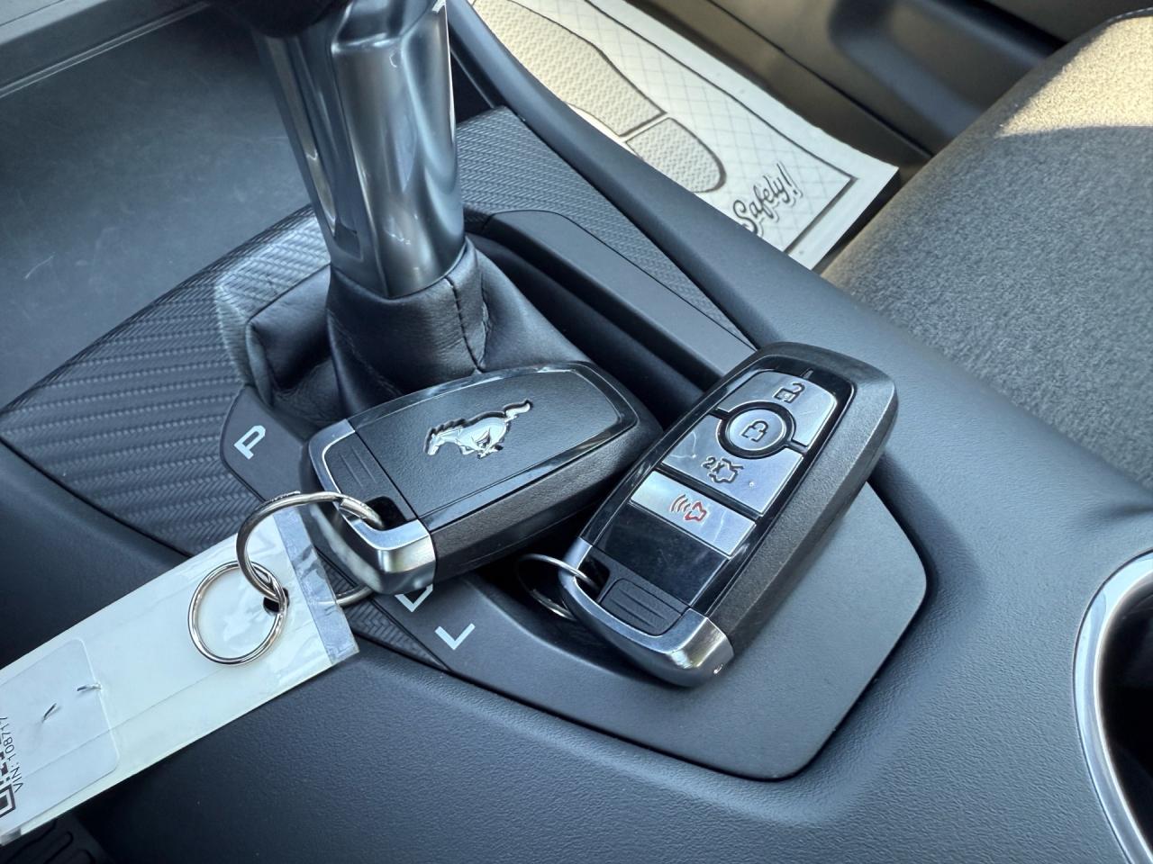 2024 Ford Mustang EcoBoost Fastback  ACCIDENT FREE MINT Photo