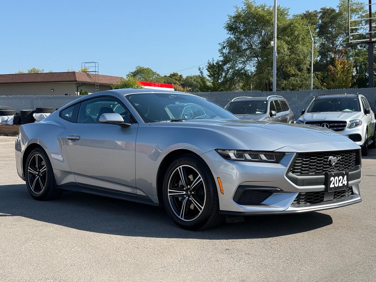 2024 Ford Mustang EcoBoost Fastback  ACCIDENT FREE 1-OWNER MINT Photo