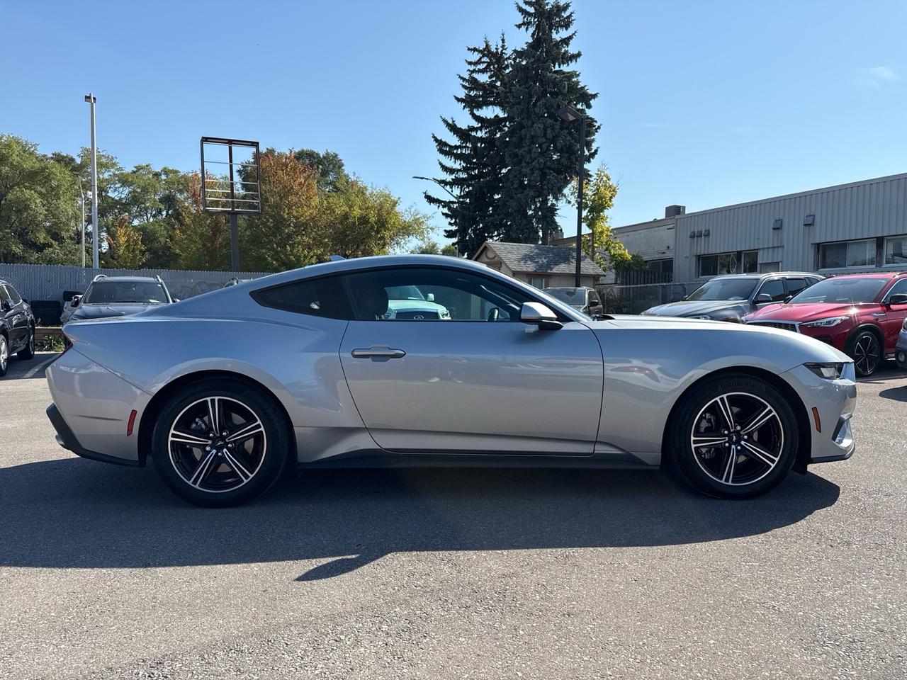 2024 Ford Mustang EcoBoost Fastback  ACCIDENT FREE 1-OWNER MINT Photo