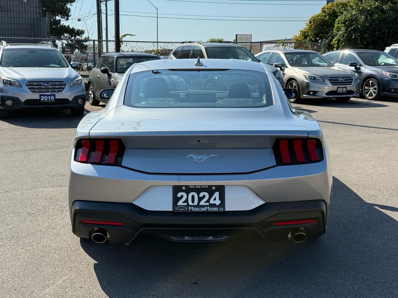 2024 Ford Mustang EcoBoost Fastback  ACCIDENT FREE 1-OWNER MINT Photo