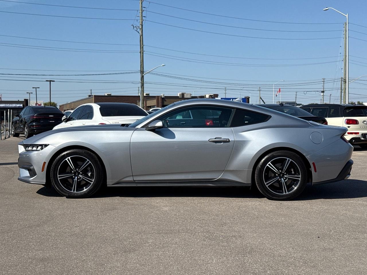 2024 Ford Mustang EcoBoost Fastback  ACCIDENT FREE 1-OWNER MINT Photo