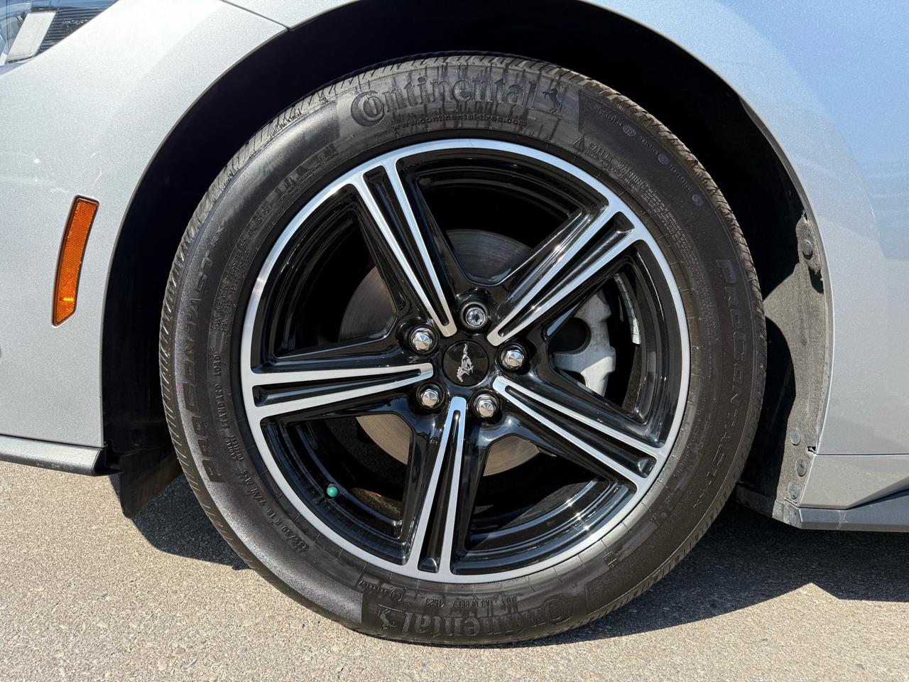 2024 Ford Mustang EcoBoost Fastback  ACCIDENT FREE 1-OWNER MINT Photo