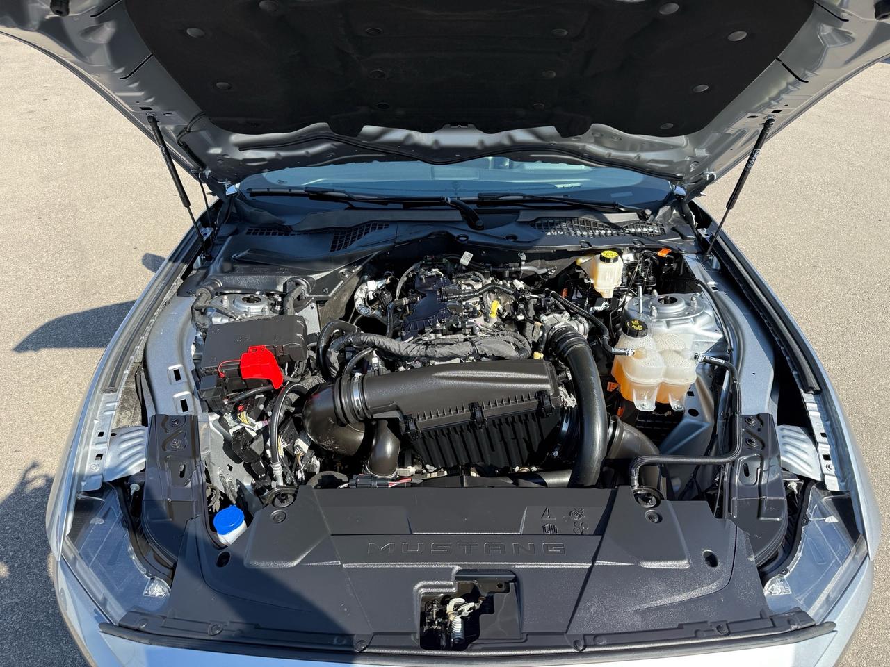 2024 Ford Mustang EcoBoost Fastback  ACCIDENT FREE 1-OWNER MINT Photo