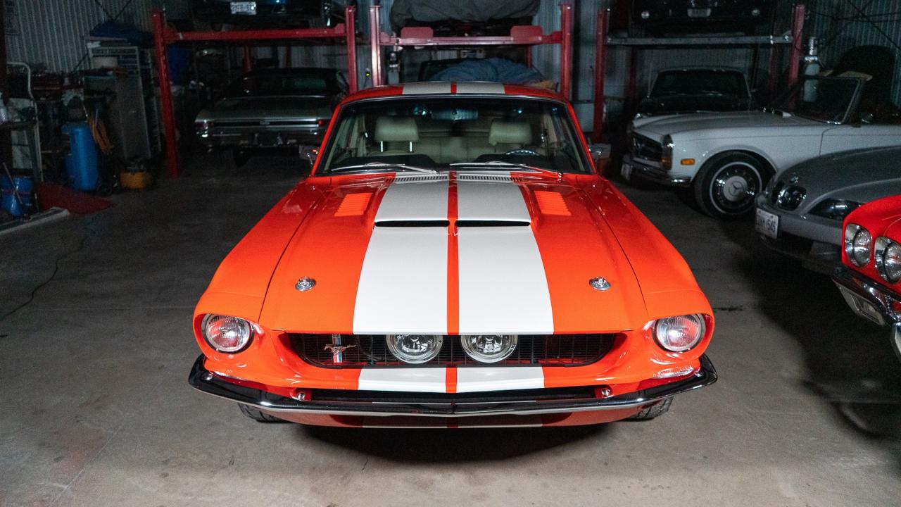 1967 Ford Mustang FASTBACK Photo