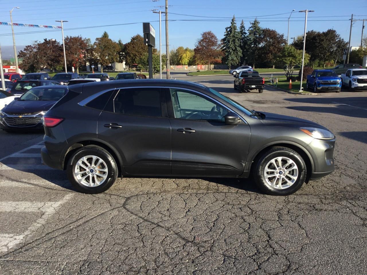 2020 Ford Escape SE Photo