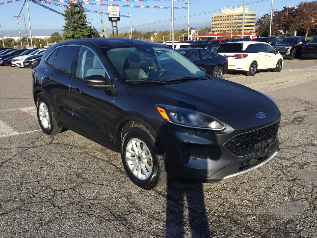 2020 Ford Escape SE Photo