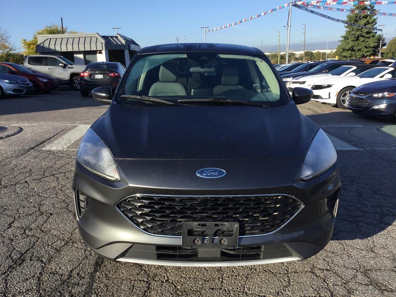 2020 Ford Escape SE Photo