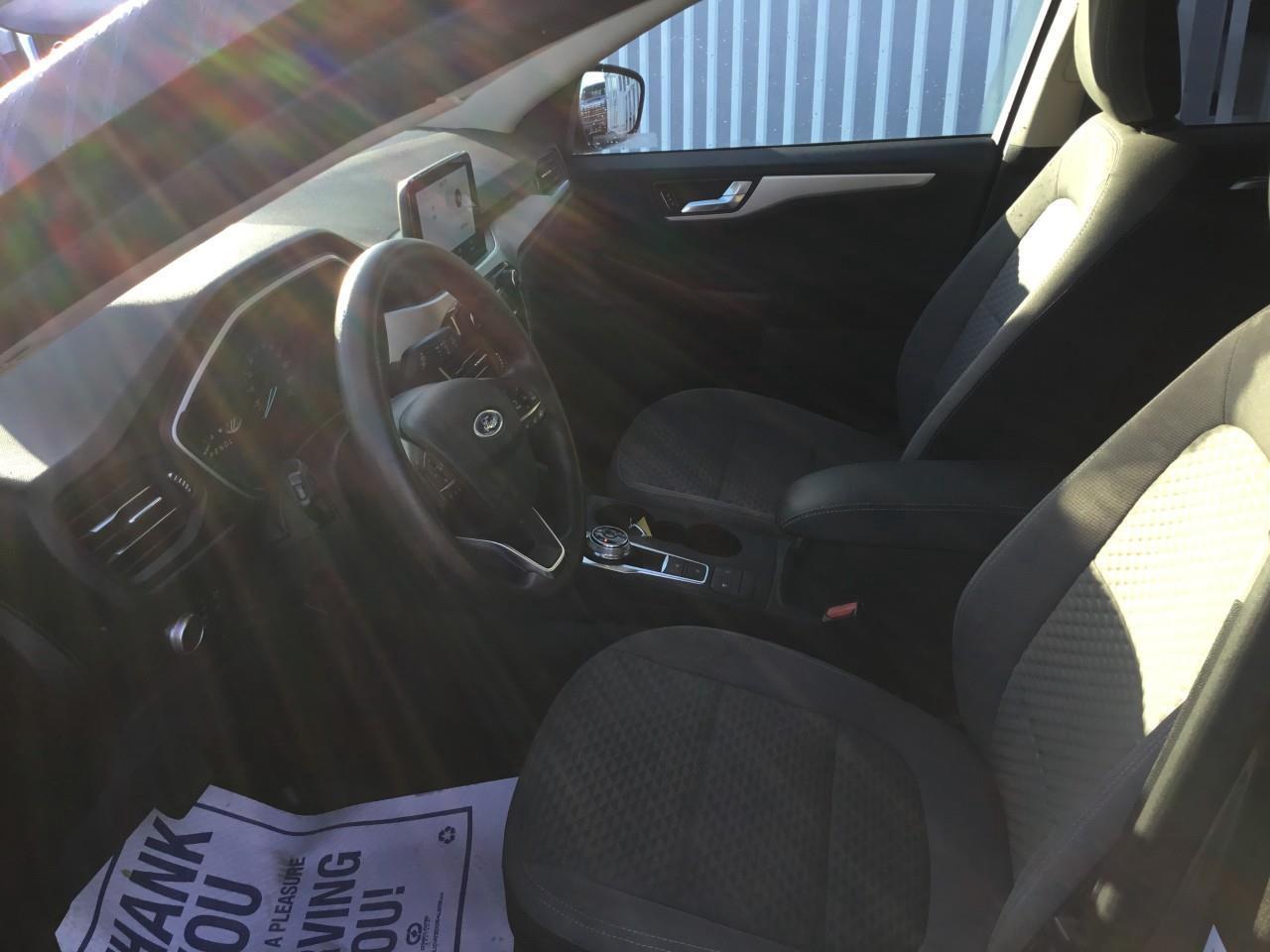 2020 Ford Escape SE Photo