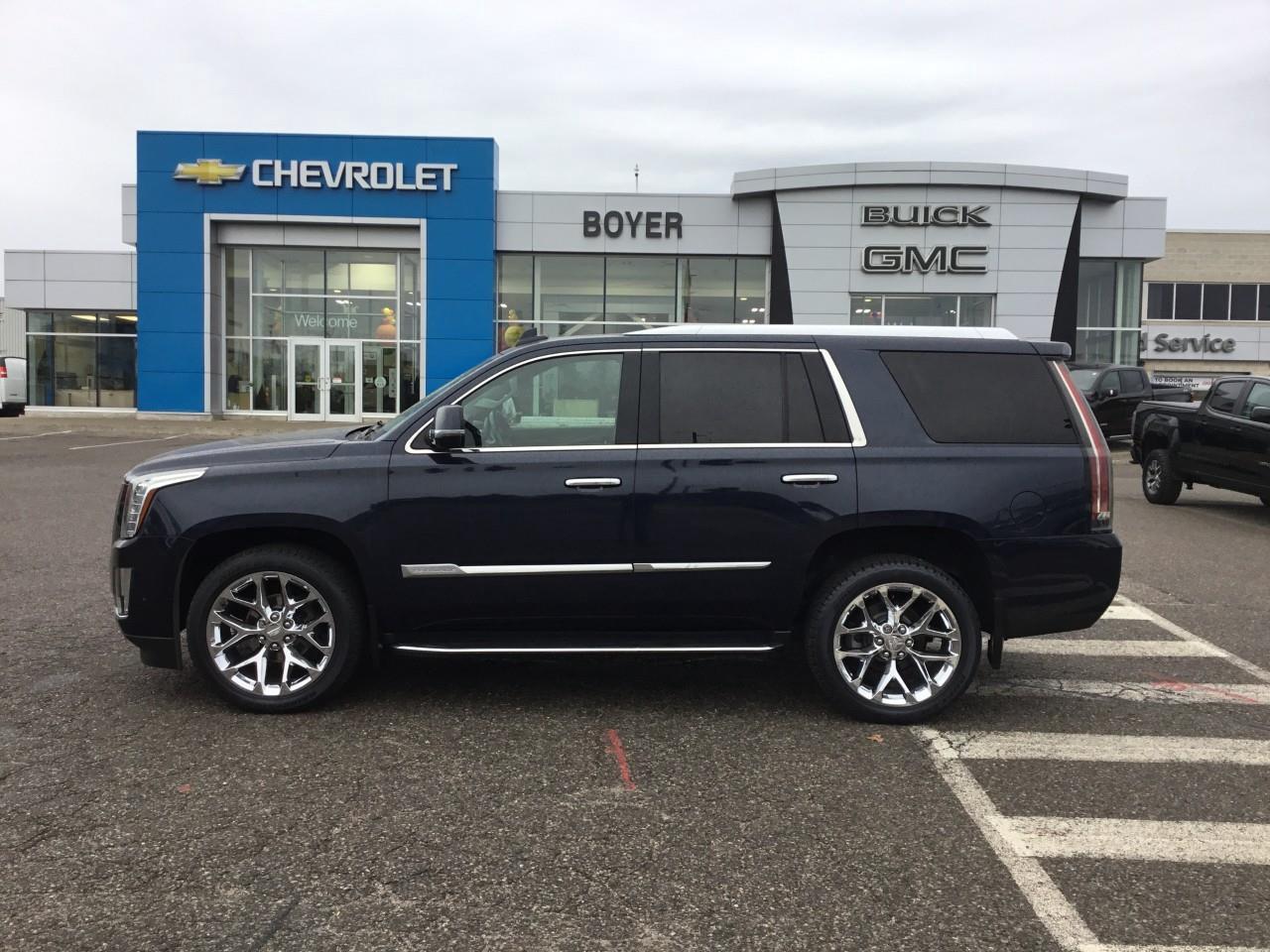 2019 Cadillac Escalade LUXURY Photo