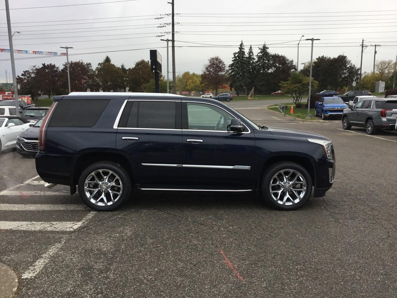 2019 Cadillac Escalade LUXURY Photo