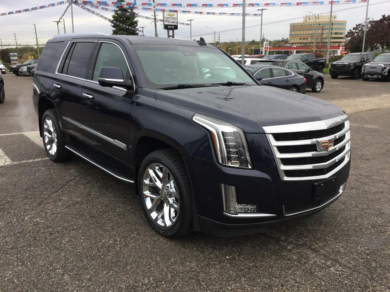 2019 Cadillac Escalade LUXURY Photo