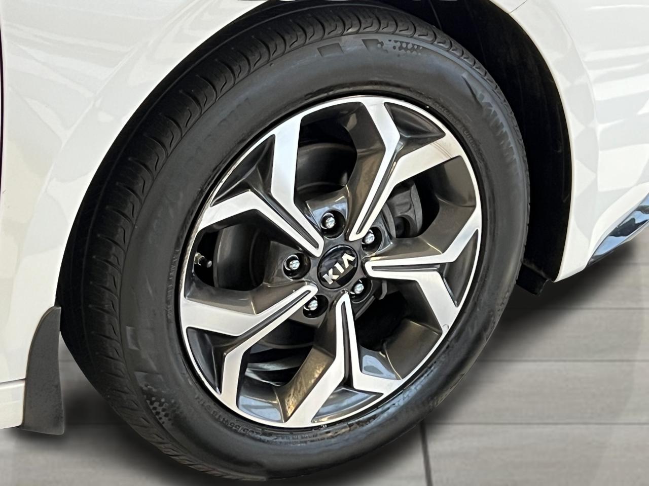 2019 Kia Forte EX+Lane Keep+Blind Spot+CLEAN CARFAX Photo52