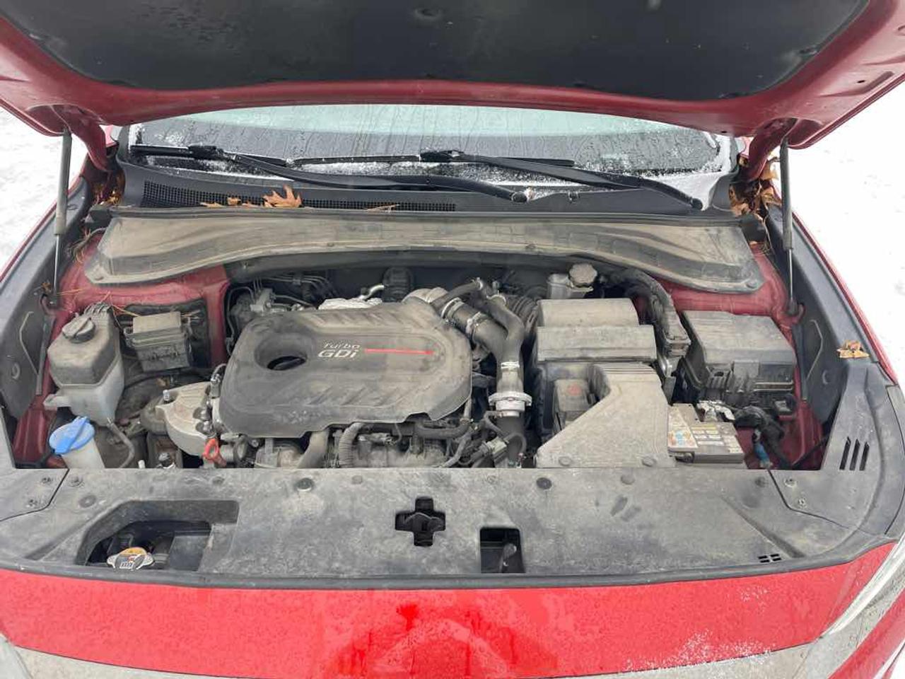 2019 Hyundai Santa Fe SEL PLUS Photo