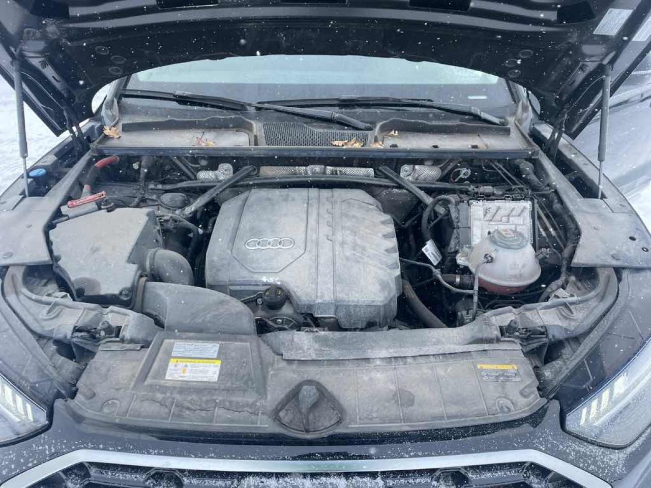 2021 Audi Q5 Technik Photo