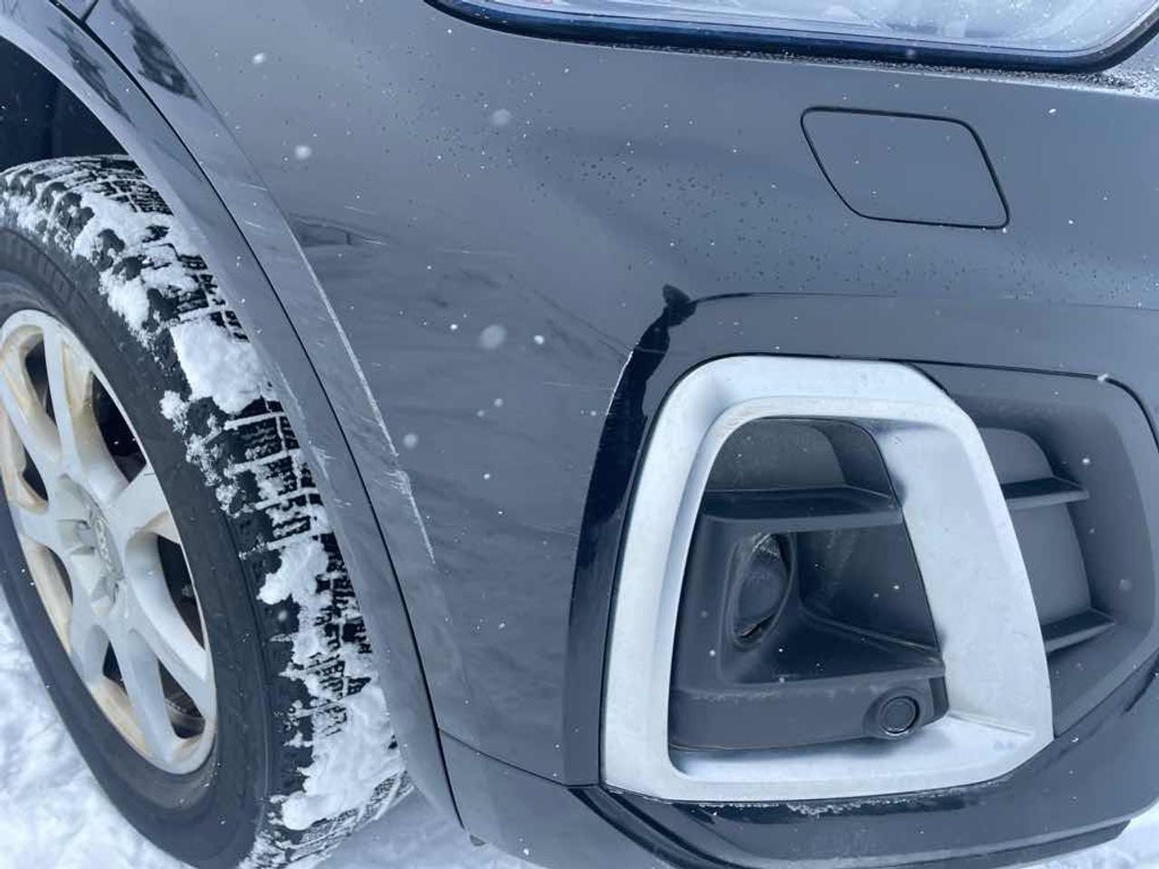 2021 Audi Q5 Technik Photo