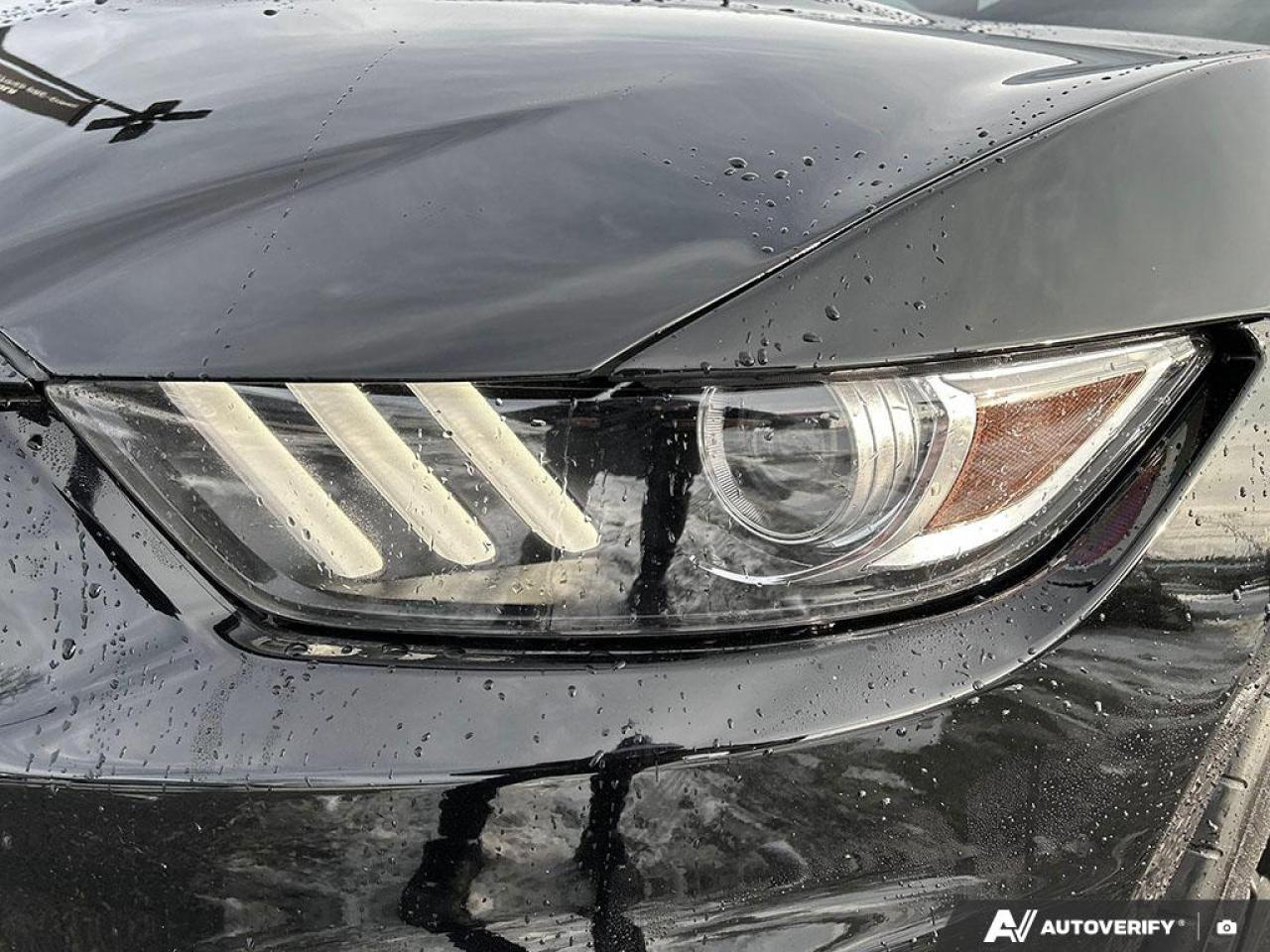 2018 Ford Mustang Shelby GT350 SHELBY GT 350 NO ACCIDENTS CERTIFIED! Photo