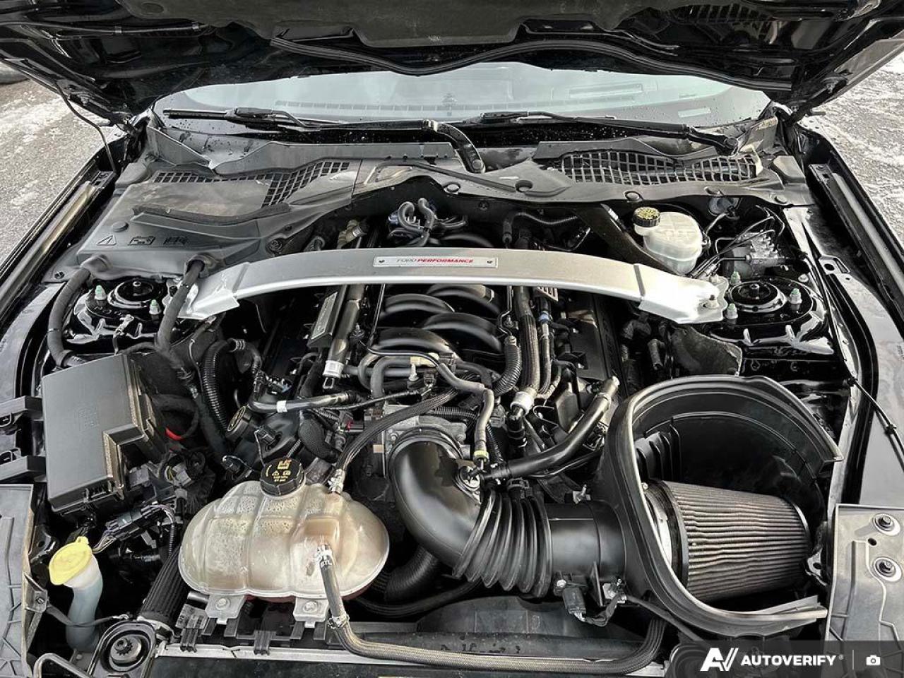 2018 Ford Mustang Shelby GT350 SHELBY GT 350 NO ACCIDENTS CERTIFIED! Photo