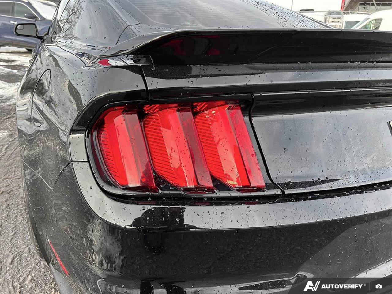 2018 Ford Mustang Shelby GT350 SHELBY GT 350 NO ACCIDENTS CERTIFIED! Photo