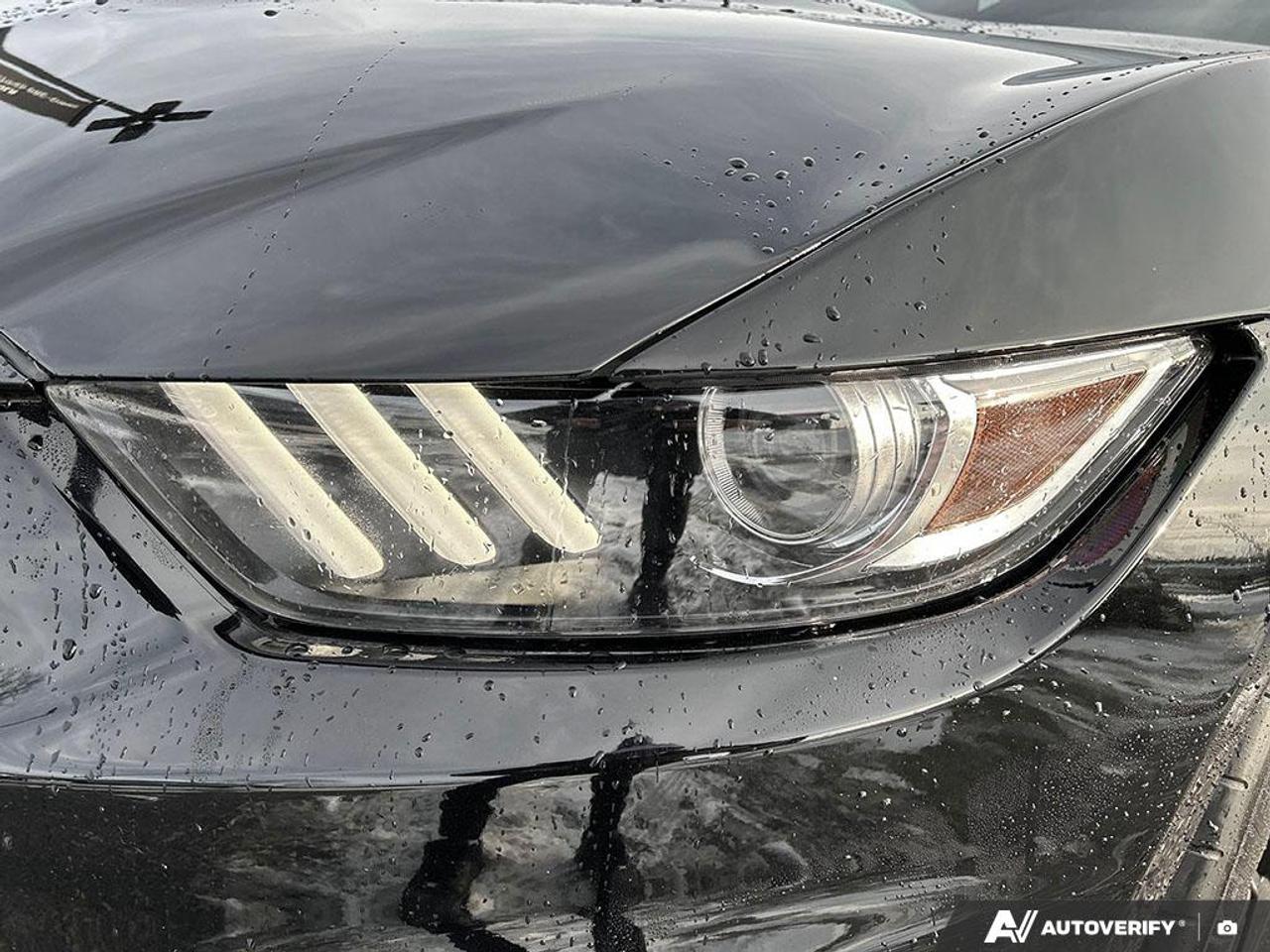 2018 Ford Mustang Shelby GT350 SHELBY GT 350 NO ACCIDENTS CERTIFIED! Photo