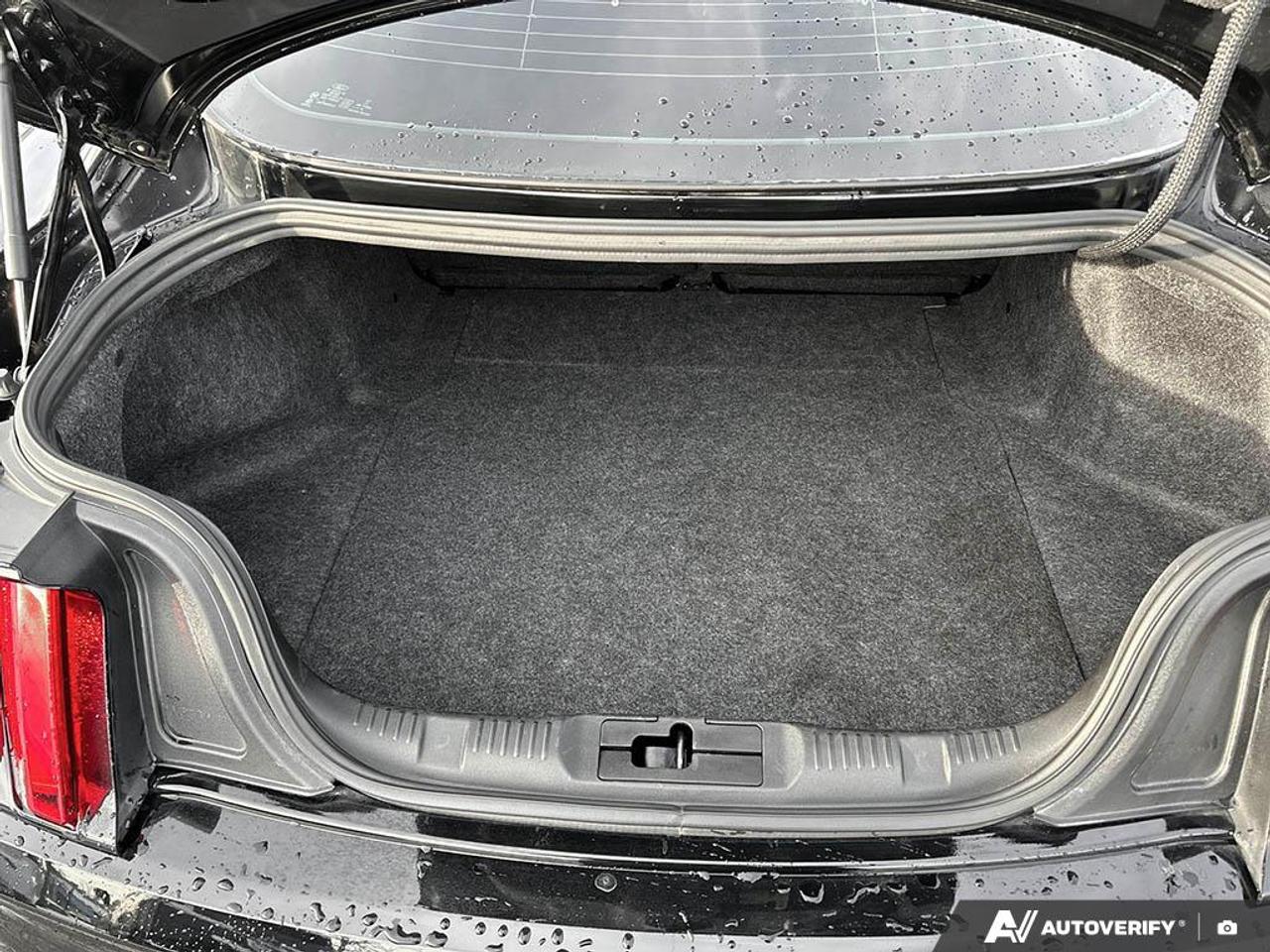 2018 Ford Mustang Shelby GT350 SHELBY GT 350 NO ACCIDENTS CERTIFIED! Photo