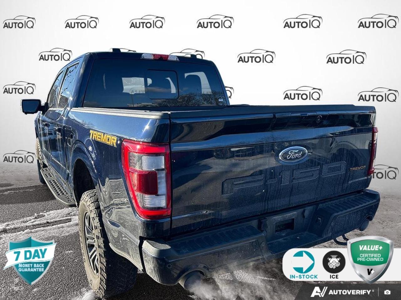 2022 Ford F-150 Tremor 402A HIGH PKG | NO ACCIDENTS | BOUGHT/SVC'D HERE | Photo3