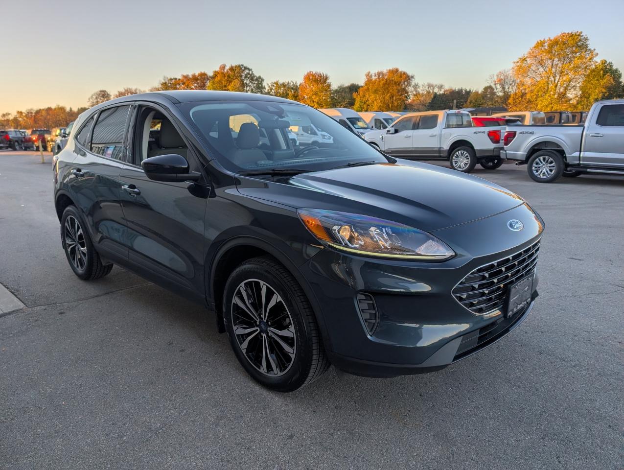 2022 Ford Escape SE Photo2