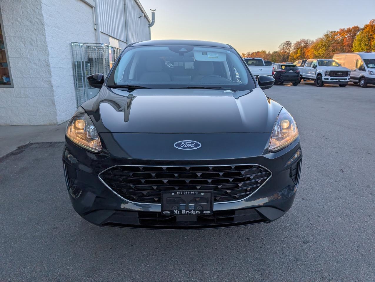 2022 Ford Escape SE Photo