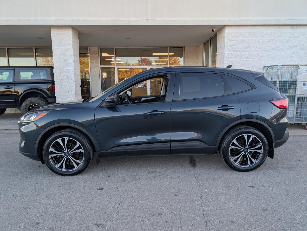 2022 Ford Escape SE Photo