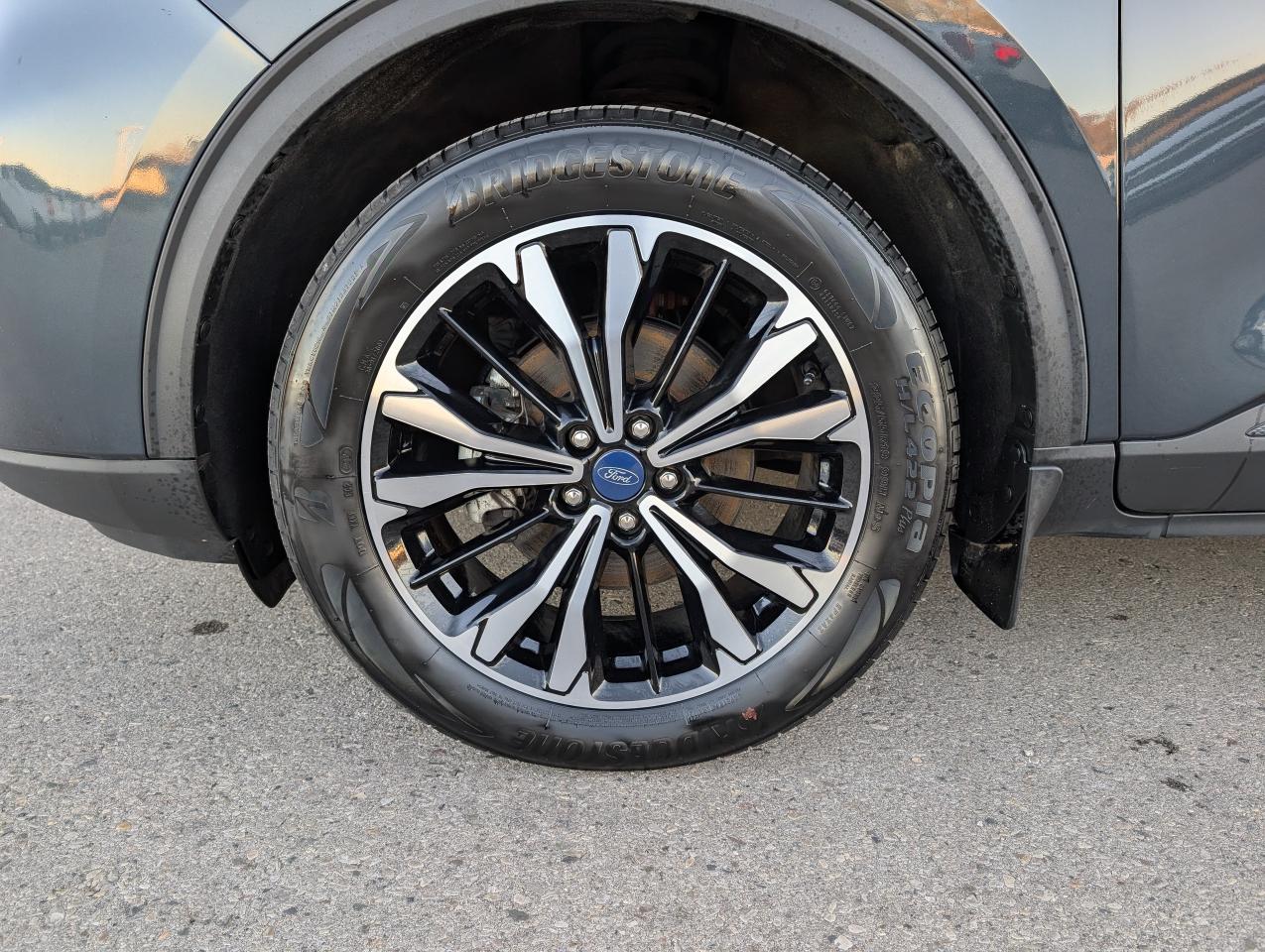 2022 Ford Escape SE Photo