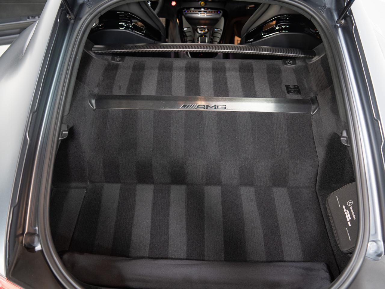 2020 Mercedes-Benz AMG GT R | CARBON FIBER | BURMESTER HD | 19 IN Photo