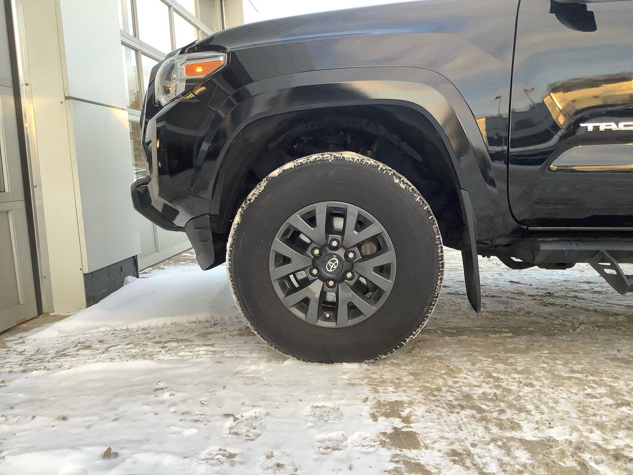 2023 Toyota Tacoma SR5 Photo