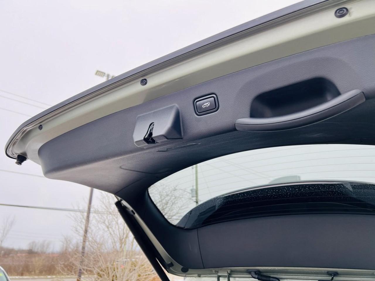 2023 Kia Sportage X-line Limited Photo