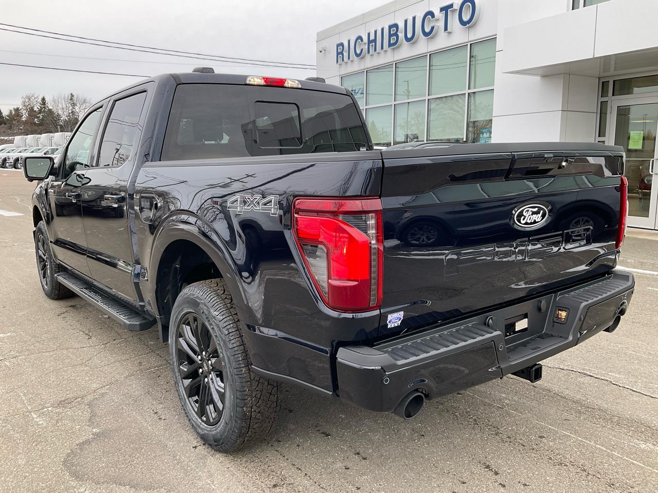 2025 Ford F-150 XLT Photo4