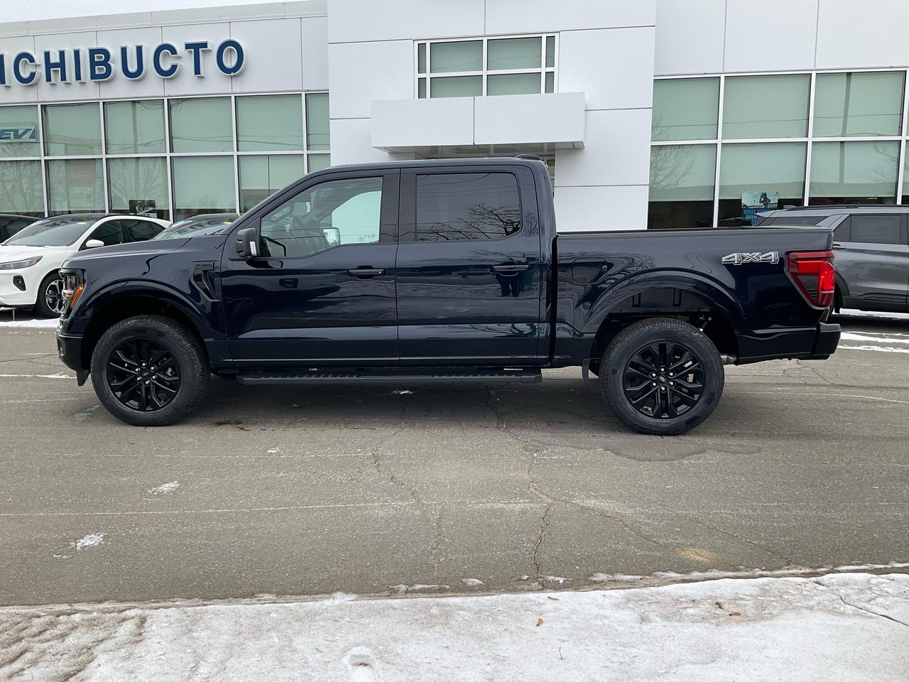 2025 Ford F-150 XLT Photo3