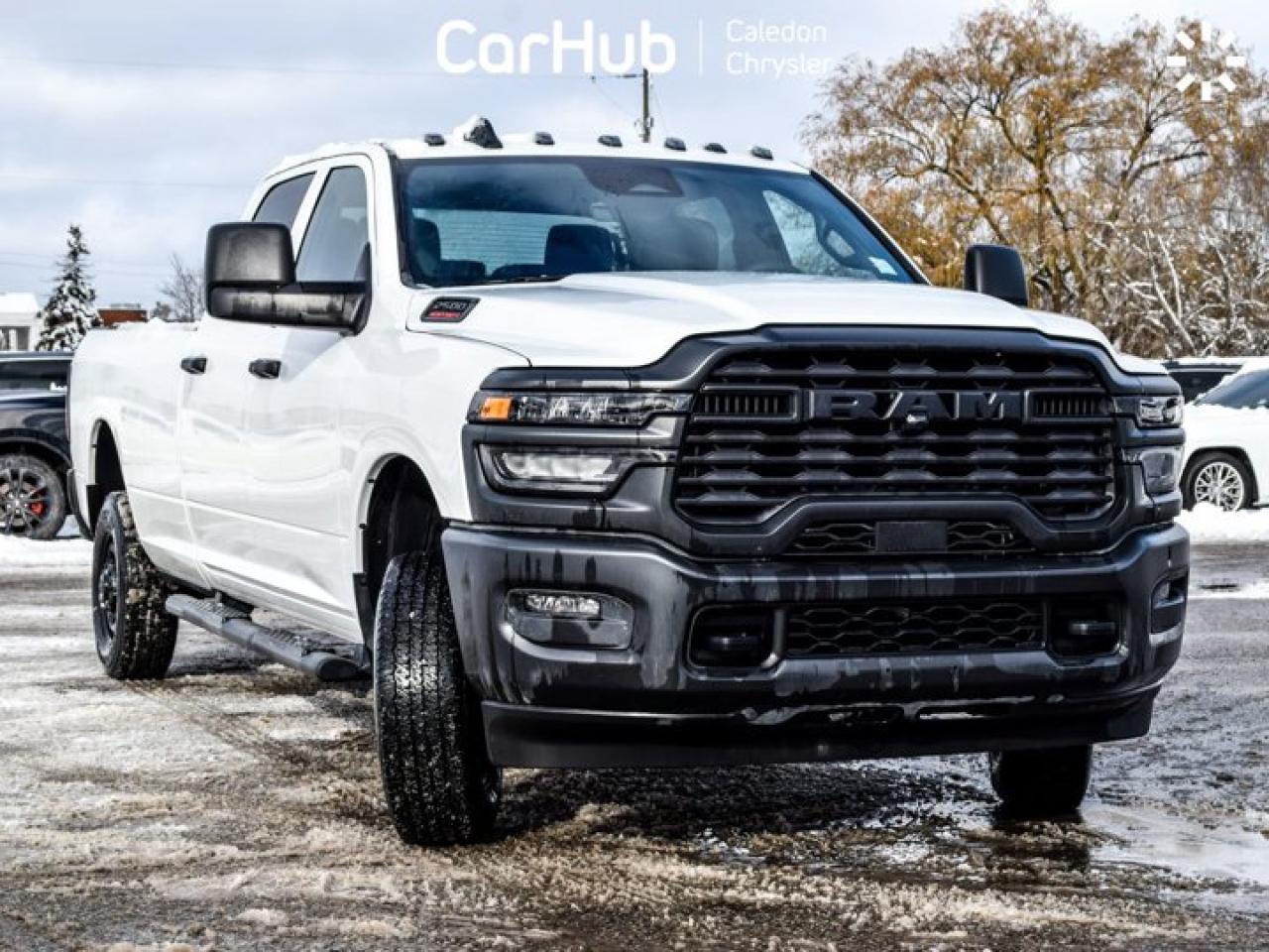 2025 RAM 2500 Tradesman 4x4 Crew Cab 8' Box IP Mounted Auxiliary Switches Photo