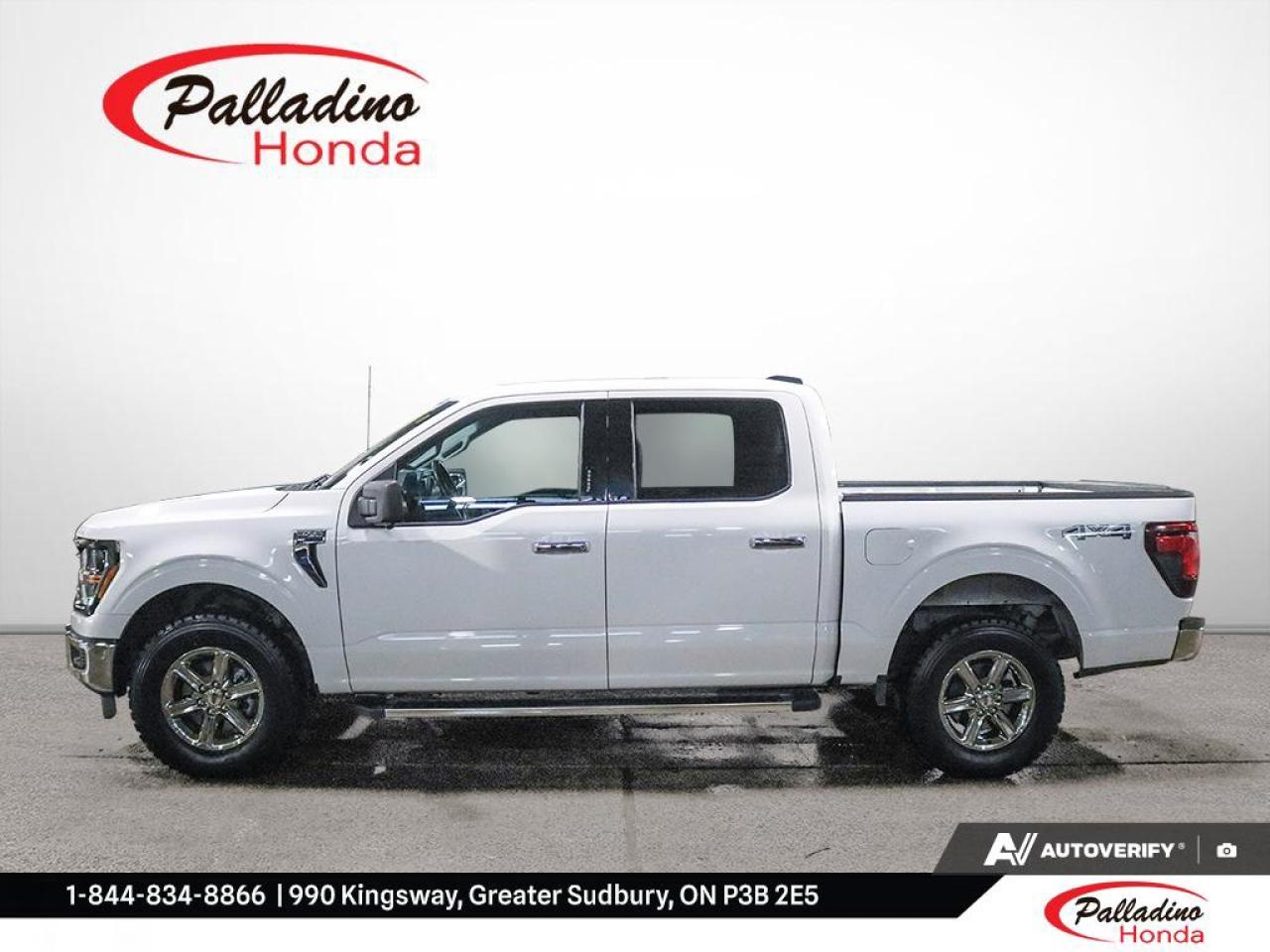 2024 Ford F-150 XLT Photo