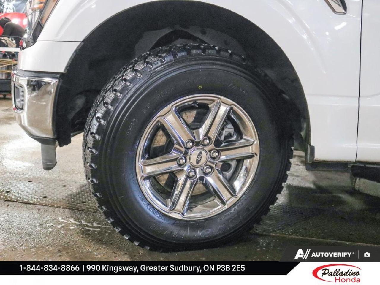 2024 Ford F-150 XLT Photo