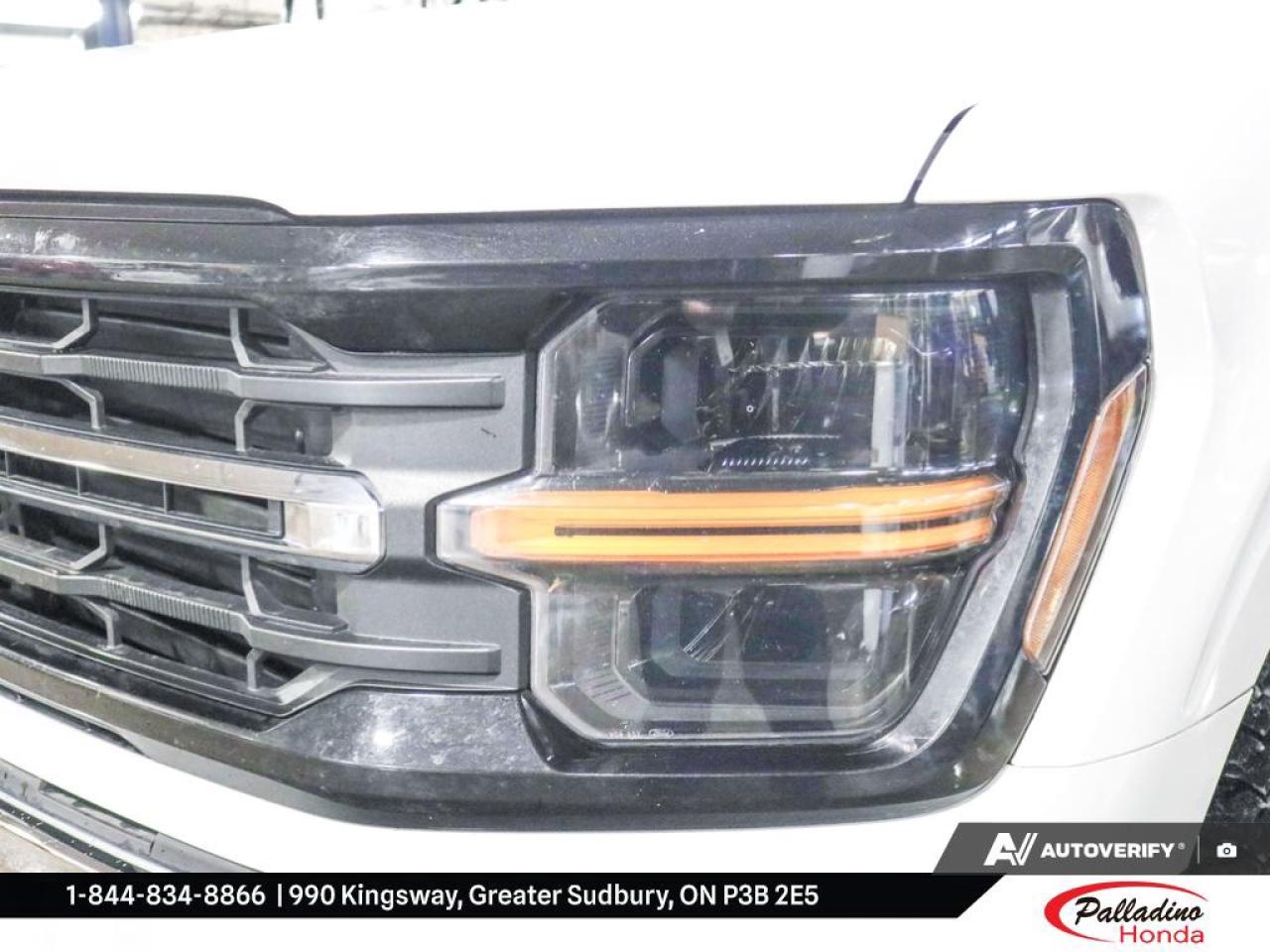 2024 Ford F-150 XLT Photo