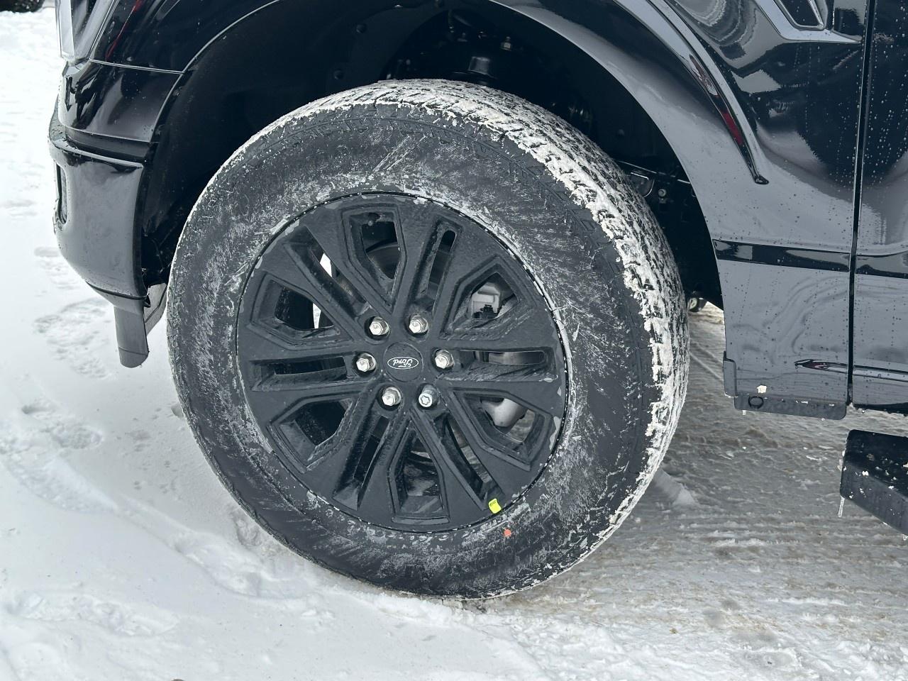 2025 Ford F-150 Lariat 4WD SuperCrew 5.5' Box Photo