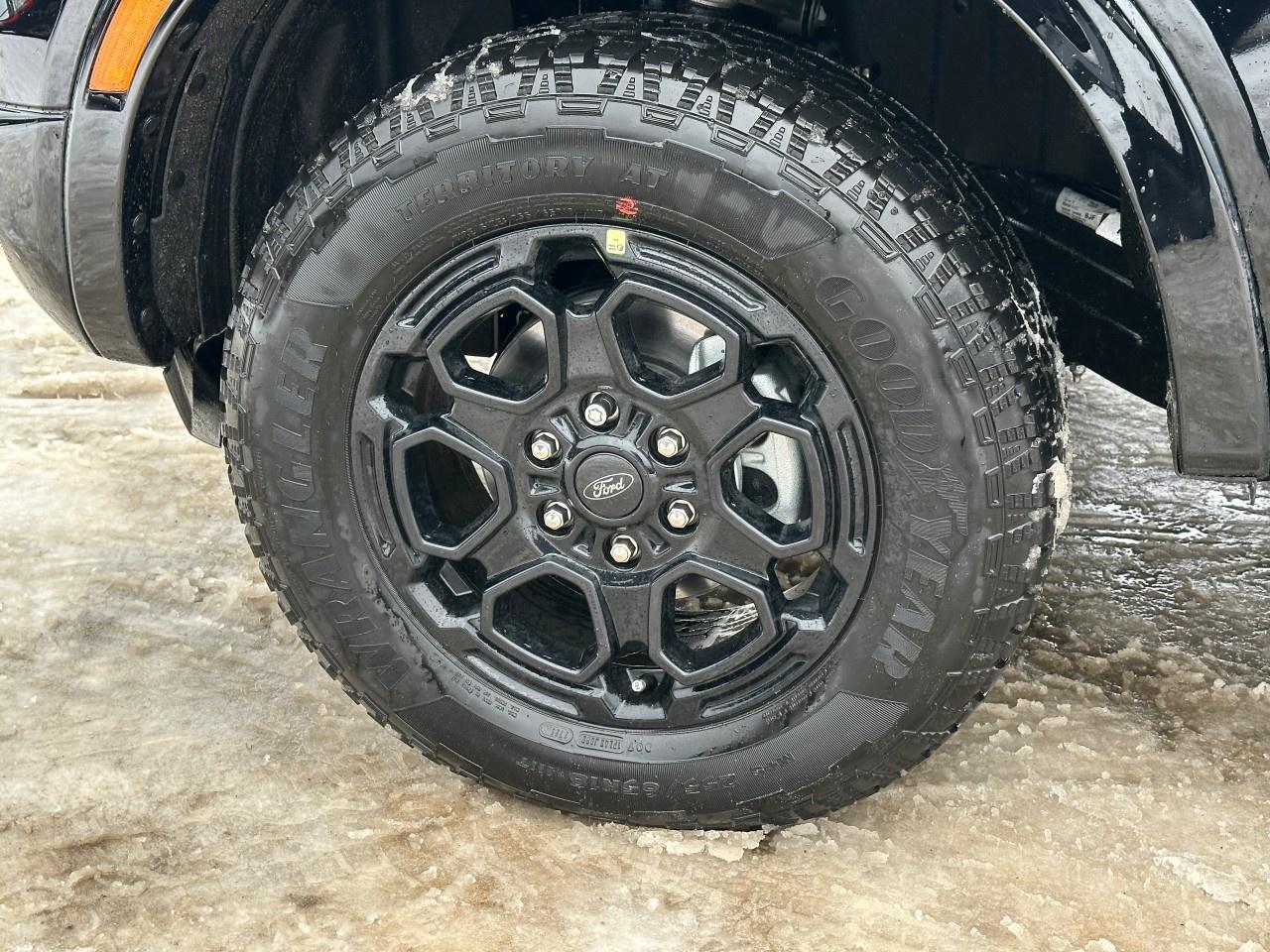 2025 Ford Ranger XLT 4WD SuperCrew 5' Box Photo