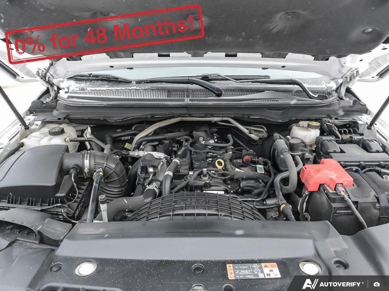 2020 Ford Ranger XLT Photo