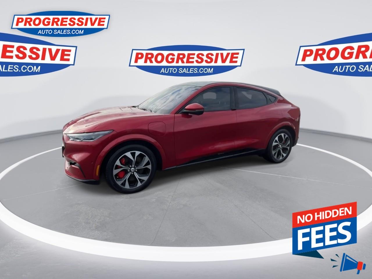 2021 Ford Mustang Mach-E Premium Photo4