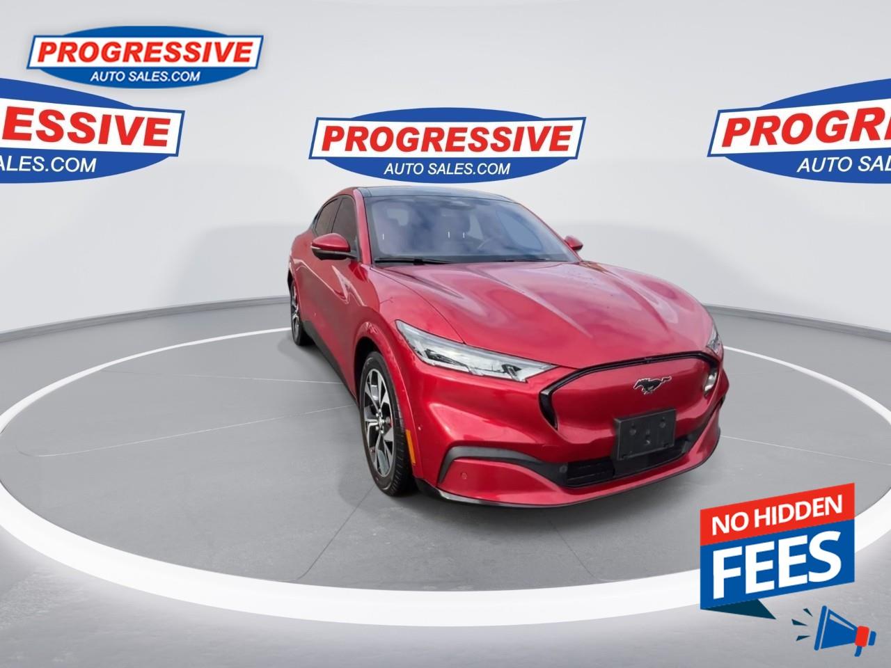 2021 Ford Mustang Mach-E Premium Photo