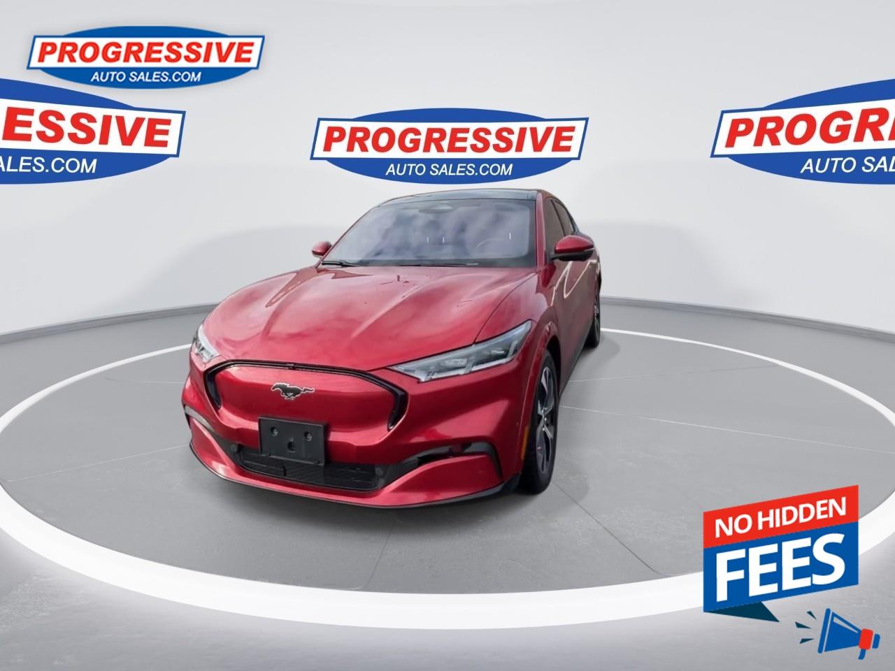 2021 Ford Mustang Mach-E Premium Photo3