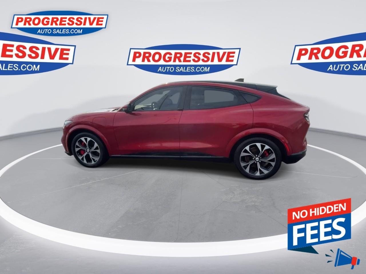 2021 Ford Mustang Mach-E Premium Photo