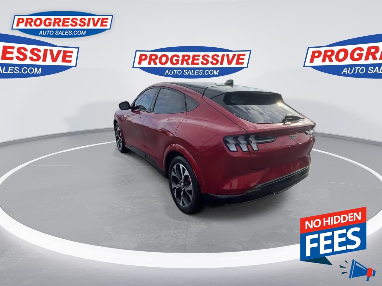 2021 Ford Mustang Mach-E Premium Photo