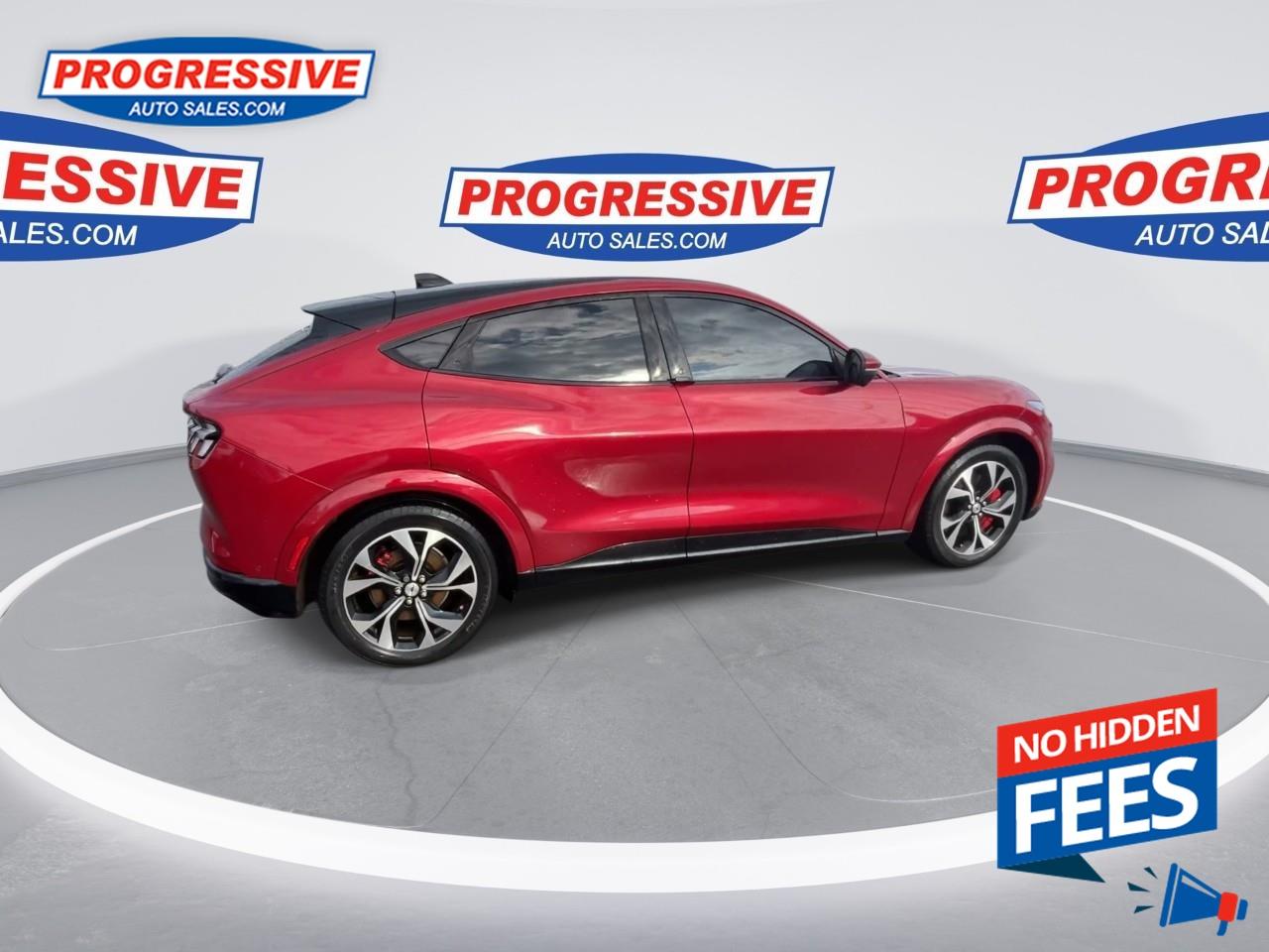 2021 Ford Mustang Mach-E Premium Photo